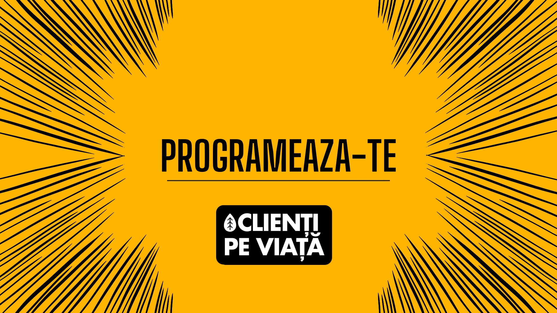 programare