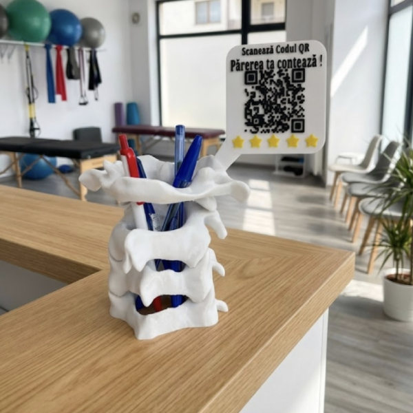 Model coloana vertebrala 3D pentru recenzii clinici kineto